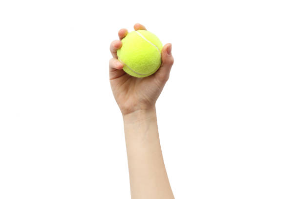 istock Hand with a ball on a white background 1212915986