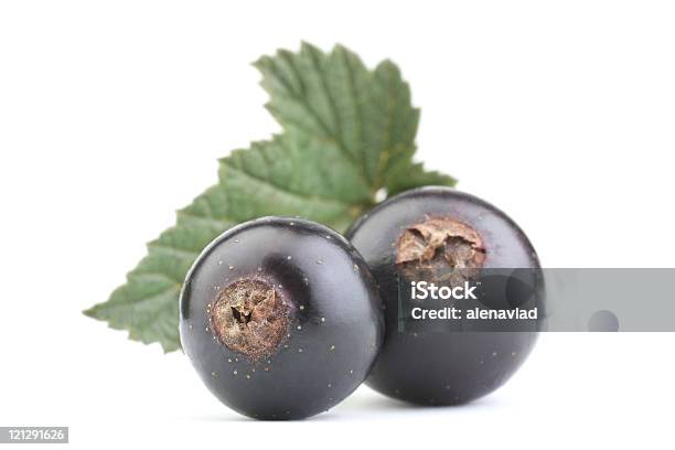Grosella Negra Foto de stock y más banco de imágenes de Alimento - Alimento, Antioxidante, Color - Tipo de imagen
