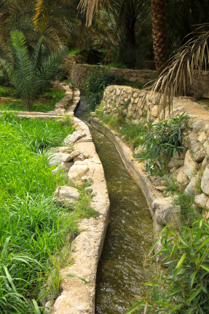 istock Wadi Bani Khalid, Oman, Middle East 1212916877