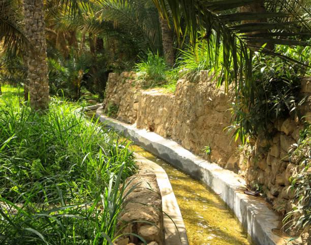 istock Wadi Bani Khalid, Oman, Middle East 1212916879