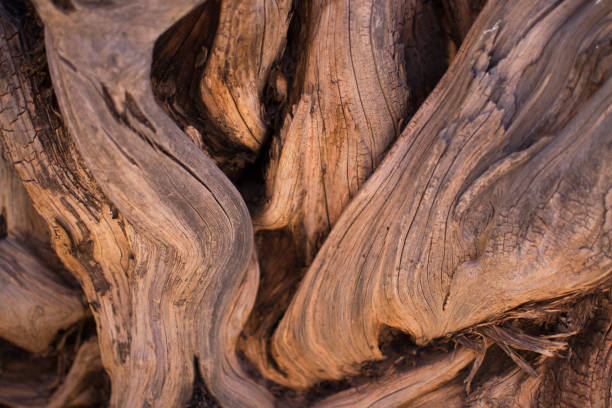 istock Wood texture of brown color. 1212917263