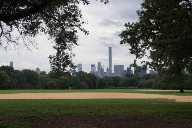 istock Central Park in New York 1212917273