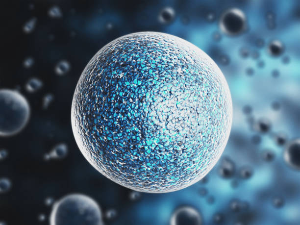 istock Coronavirus microscopic view. Respiratory System. Floating influenza virus cells. Pandemic risk concept. 3d rendering 1212917623