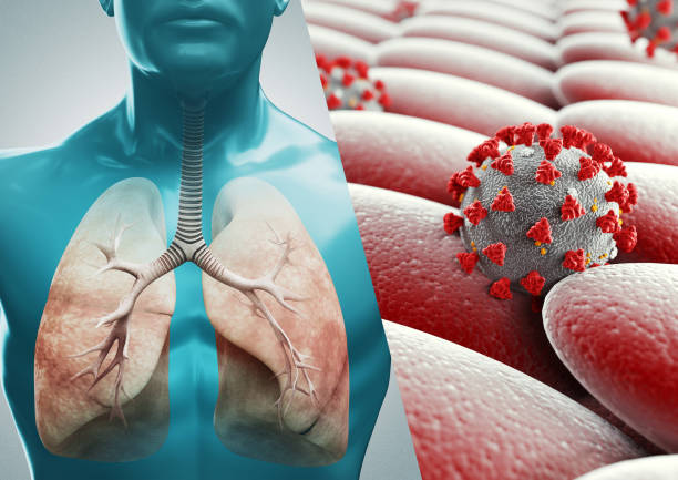istock Coronavirus microscopic view. Respiratory System. Floating influenza virus cells. Pandemic risk concept. 3d rendering 1212917645