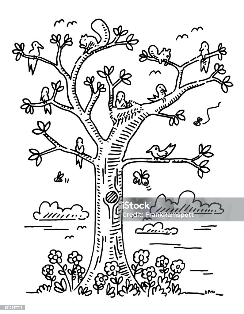 Spring Tree Rawing Spring Tree Clipart Transparent