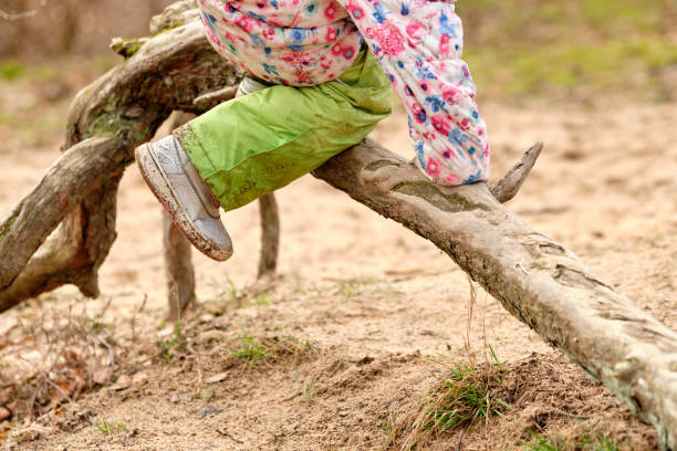 Low section of child girl climbing over root stock photo