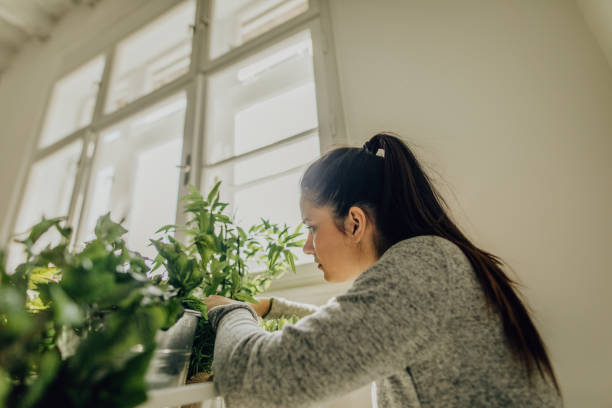 istock Young woman home alone arranging the plants 1212920685