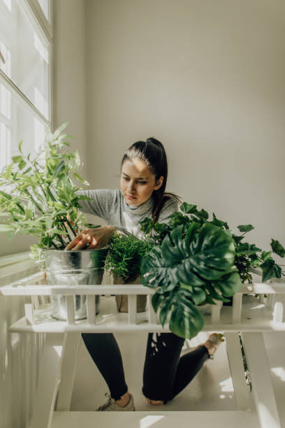 istock Young woman home alone arranging the plants 1212920923