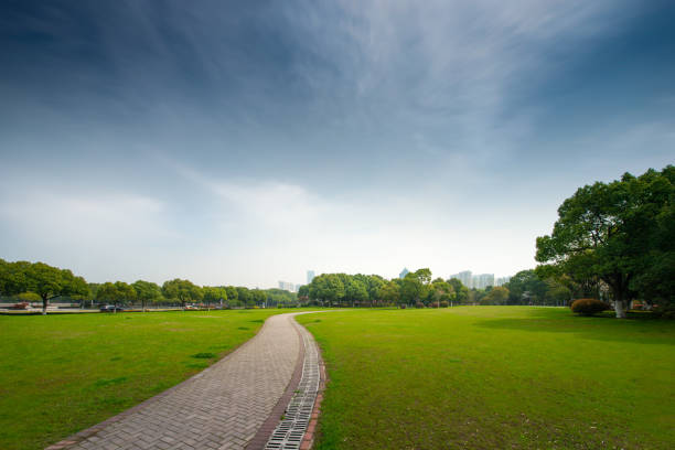 Curved garden path on the green lawn