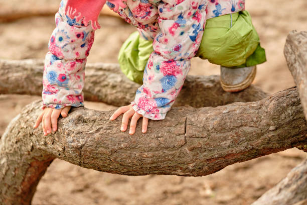 Low section of child girl climbing over big branch stock photo