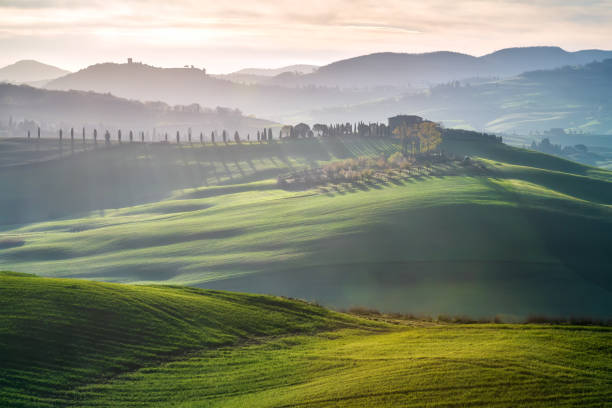 istock Spring landscape in Tuscany green fields 1212925391