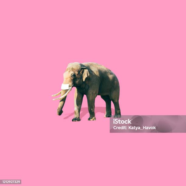 Elephant With Medical Mask Is On Soft Pink Background Coronavirus Concept Art Collage In Minimalist Style Stock Photo - Download Image Now