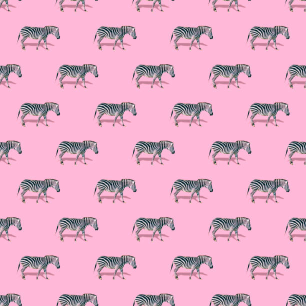 Many zebras are on soft pink background. Strong shadows. Minimalistic collage art. Seamless pattern.