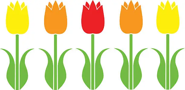 Vector illustration of Tulip Flowers