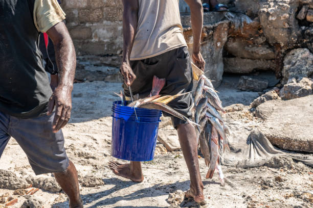 Zanzibar, Tanzania - February 21, 2019: man carrying plastic bucket with fresh fishes at fish market of Zanzibar Harbor