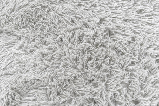 istock Close up white fur texture or carpet for background 1212932119