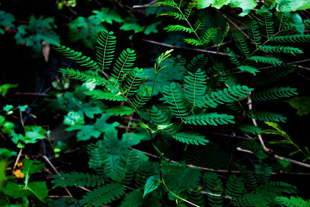 istock It's a little stick on the wall 1212935918
