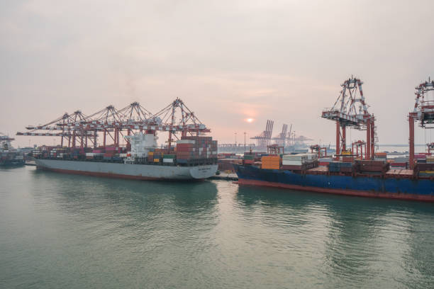 istock Gantry Cranes at Container Terminals at Colombo port. 1212937620