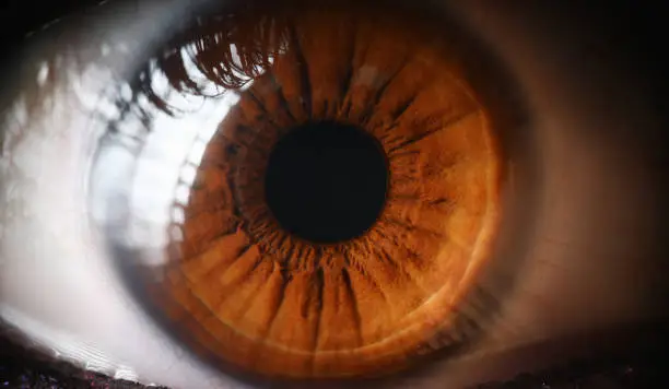 Photo of Close-up human eye, lens, cornea and brown iris.