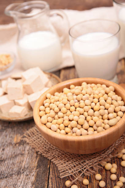 istock soybeans, soy milk, soymeat, tofu assortment 1212945748