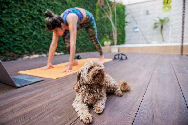 Young fit mother exercise at home using laptop
