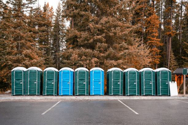 국립 공원의 숲에 녹색, 파란색 휴대용 화학 화장실의 행 - portable toilet 뉴스 사진 이미지