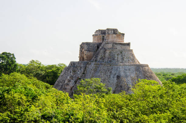 istock Mayan Pyramid peeking out of the treetops 1212960881