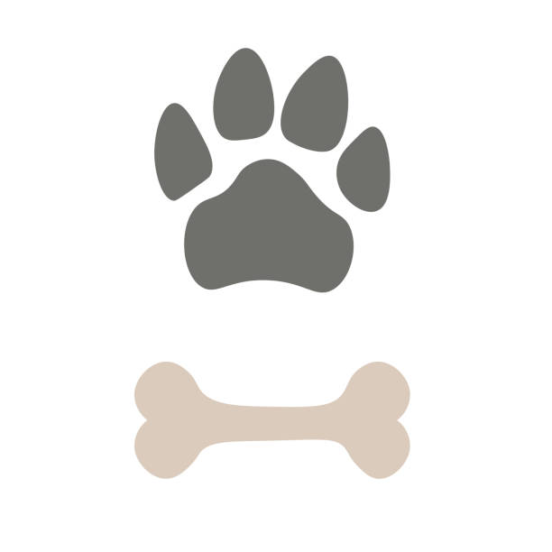 istock Pets paw and bone. Animal footstep icon. Pet store logo. Vector illustration. 1212961101