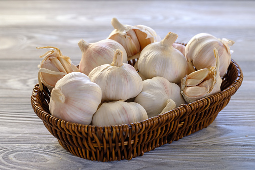 Healthy and wholesome food. Fresh garlic in a wicker basket on a wooden table close-up