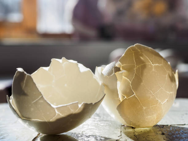 istock The white eggshell is split in two. The texture of the shell in the bright light, close -up, copy space. Background and texture of cracks in bright light. Concept: life has cracked 1212961651