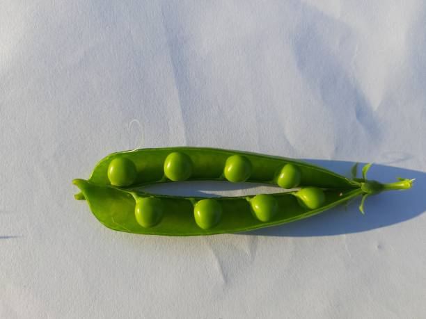 istock Fresh green pea pod with beans isolated on white background. 1212961741