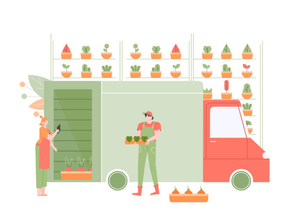 Distribution of fresh vegetables and herbs to supermarkets. Distribution of fresh vegetables and herbs to supermarkets. Supervisor and loader next to the truck. Loading a machine to deliver goods. Shelves with plants, food warehouse. Vector flat illustration. stacking food containers stock illustrations