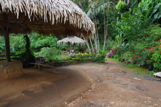 istock Hmong Village in Chiang mai 1212963352
