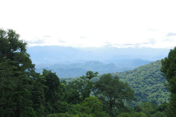 istock Hmong Village in Chiang mai 1212964134