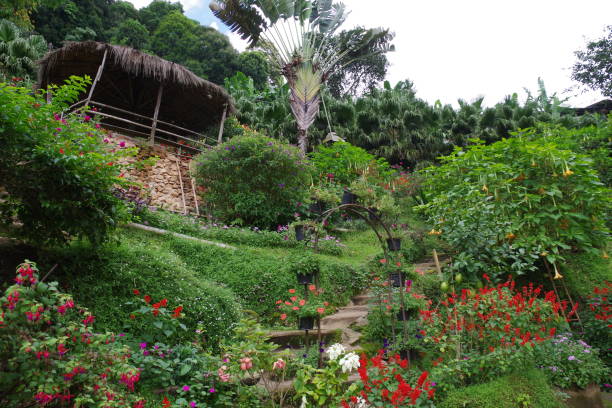 istock Hmong Village in Chiang mai 1212964863