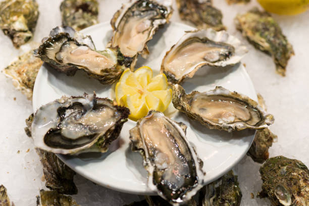 istock Plate of open oysters 1212966889