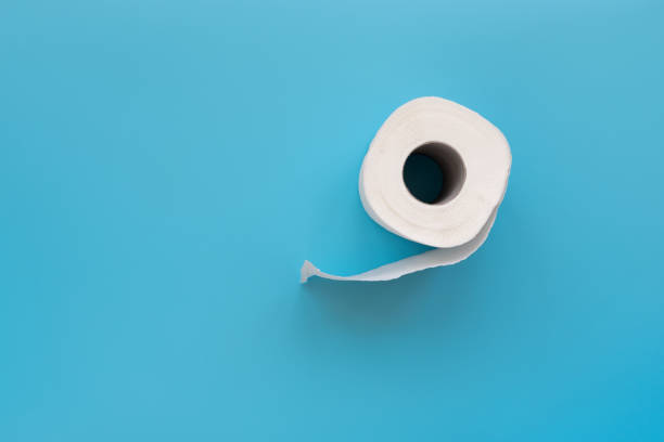 istock Toilet paper rolls on blue background. Copy space 1212969505