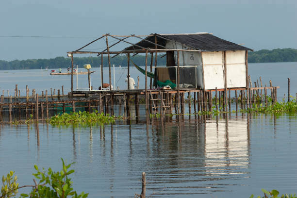 Watchtower to look after the clams of fishermen in Tan Thanh beach, Tien Giang province