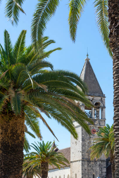 istock Tower and palm trees in Torgir 1212976846