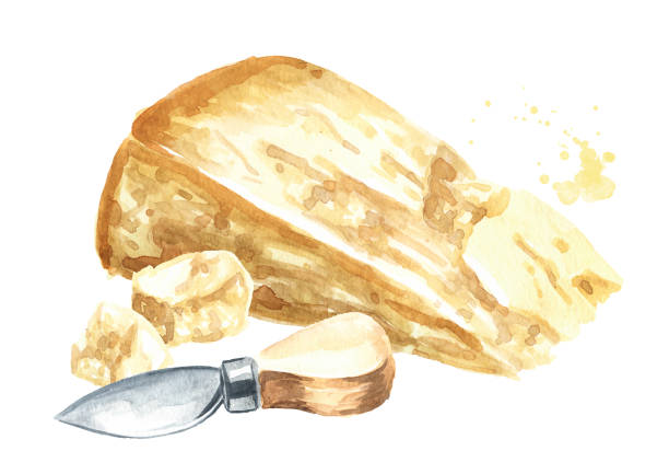 ilustraciones, imágenes clip art, dibujos animados e iconos de stock de queso parmesano y cuchillo. ilustración de acuarela dibujada a mano, aislada sobre fondo blanco - bloque para cuchillos
