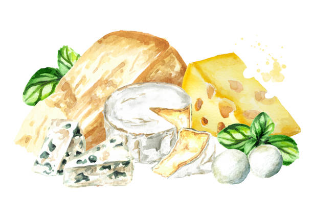 Various kinds of cheese. Hand drawn watercolor illustration, isolated on white background Various kinds of cheese. Hand drawn watercolor illustration, isolated on white background cheese drawings stock illustrations
