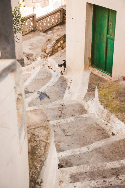 Stray cat at narrow street of Karpathos