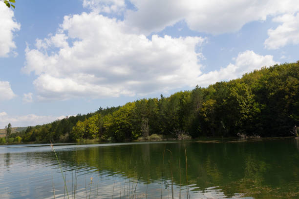 istock Forest lake shore view. Summer forest lake shore panorama 1212983583