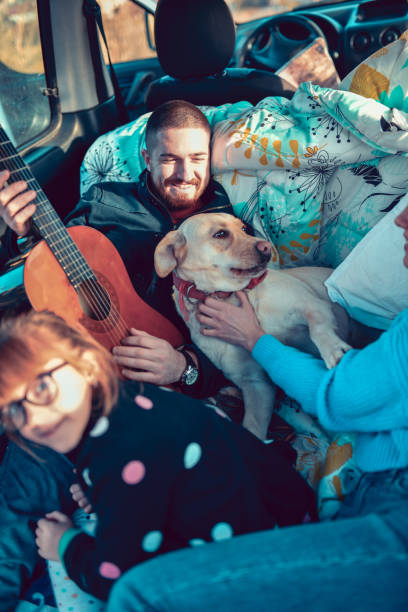 istock Let's Take Our Dog For A Road Trip 1212985078