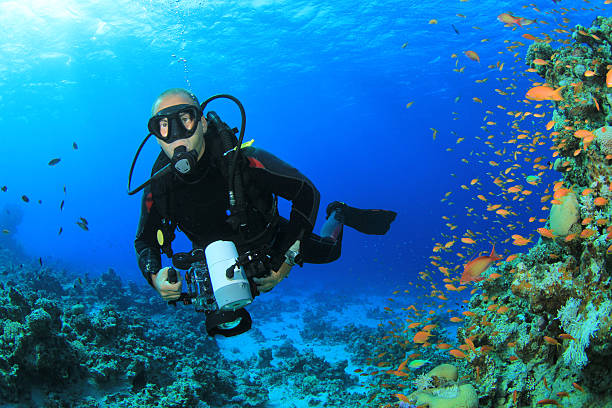 istock Male scuba diver exploring coral reef 121298606
