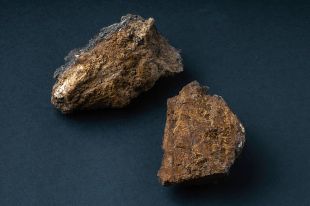 istock chaga mushroom on the black background 1212988154