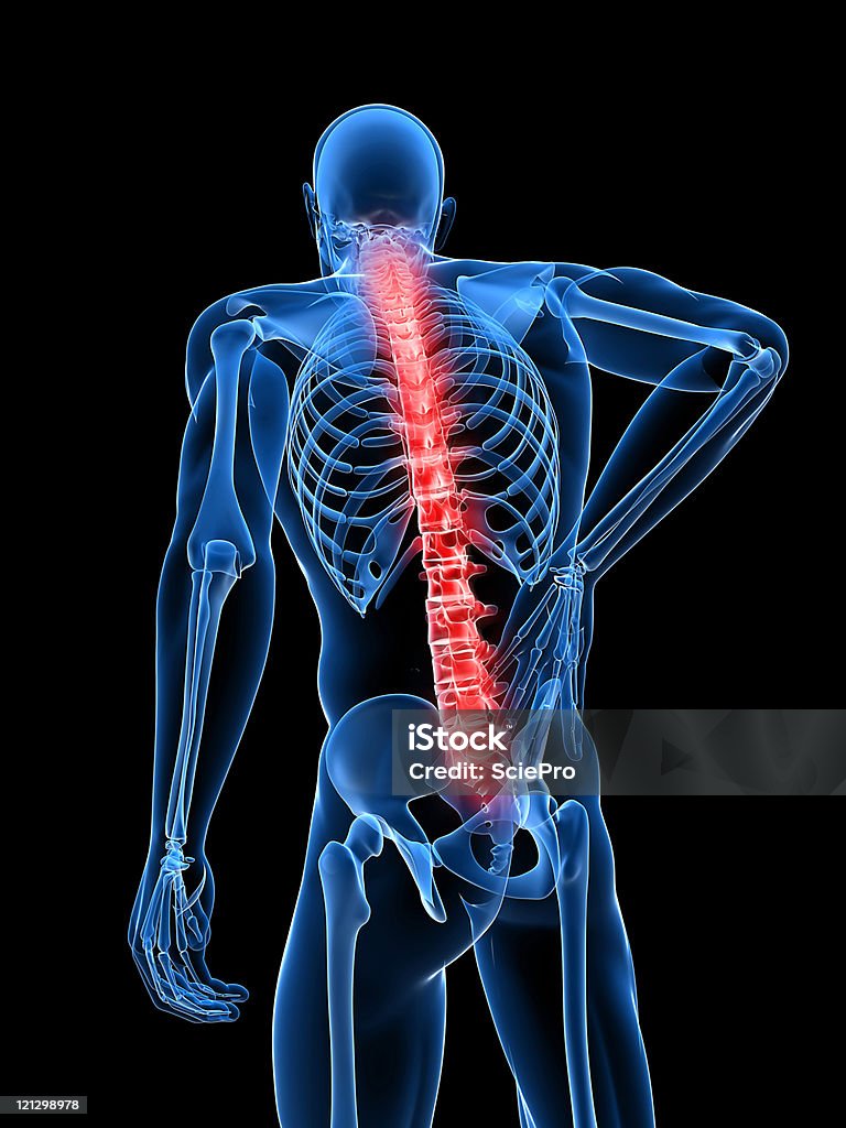 Ilustración de espalda - Foto de stock de Anatomía libre de derechos