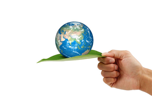 istock Hand holding a green leaf with the earth on white background clipping path. save the earth concept. 1212991102