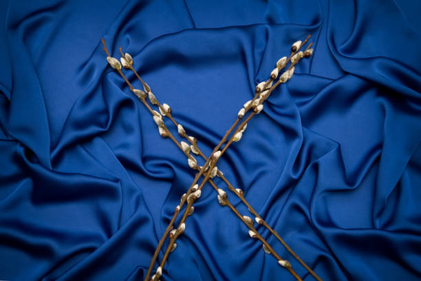 istock sprigs of willow on a blue background 1212992944