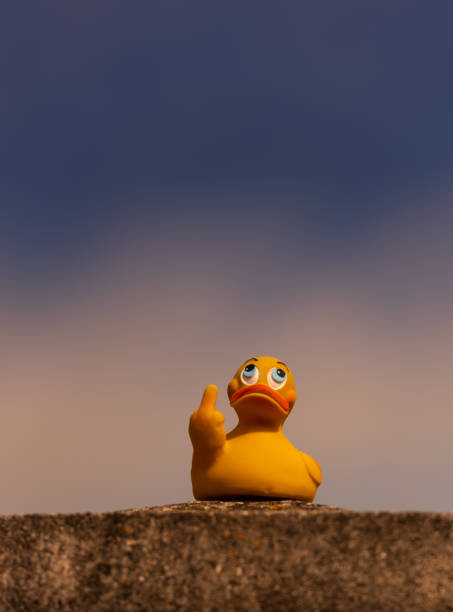 istock Portraits of yellow rubber duck 1213001240